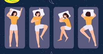 Tư thế nằm tốt cho người đau thần kinh tọa giúp giảm đau và ngủ ngon